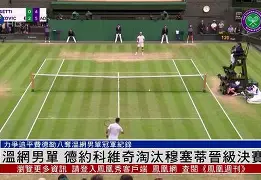 官方网页版登录- 德约科维奇迎来411胜 
