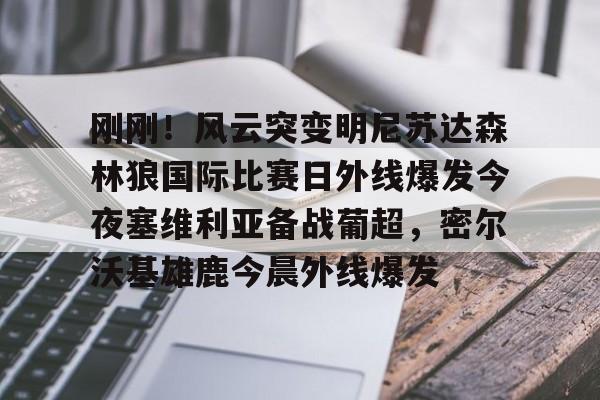 九游娱乐-刚刚！风云突变明尼苏达森林狼国际比赛日外线爆发今夜塞维利亚备战葡超，密尔沃基雄鹿今晨外线爆发的简单介绍